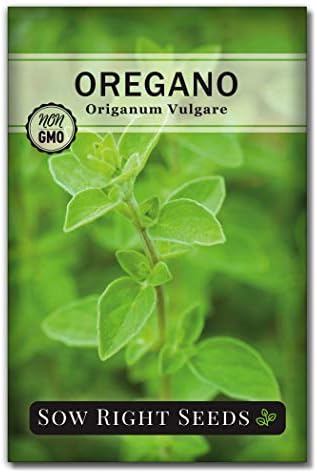 Sow Right Seeds - Oregano Seed for Planting a Perennial Herb Garden by SowRightSeeds