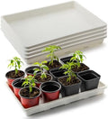 RooTrimmer 5 Pack Nursery Pot Tray, Carrying and Holding Plant Tray for Pot 24 Cell Carrying Holder Drainage Watering Plant Tray (White) by RooTrimmer
