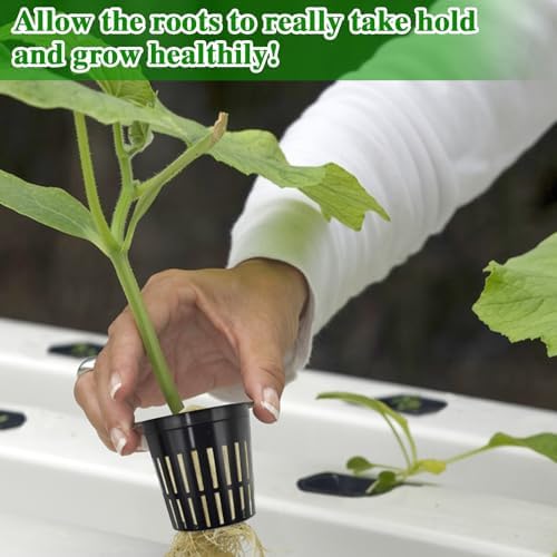 Halatool 36PCS 1.2" Rockwool Cubes & 30PCS 2" Net Cups for Hydroponics - Image 6