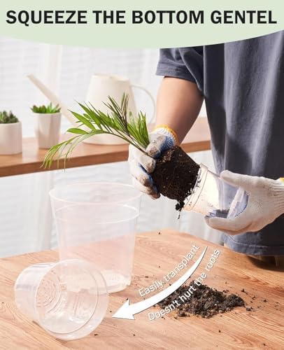 homenote 4/5/6.7 Inch Transparent Nursery Pots with Drainage Holes (30 Pcs) - Image 5