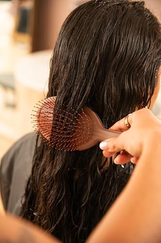 FRAMAR Chocolate Hair Brush Detangler, Wet Hair Brushes For Women - Image 3