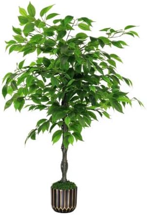 Artificial Ficus Tree 4FT - Faux Indoor Tree with Black Pot for Living Room by Unknown
