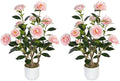 2 Pack Artificial Camellia Tree with White Pot, 24" Faux Potted Plants for Indoor Outdoor Decor, Tall Silk Greenery Plant for Home Office Living Room Balcony, Pink by Jcezvnt