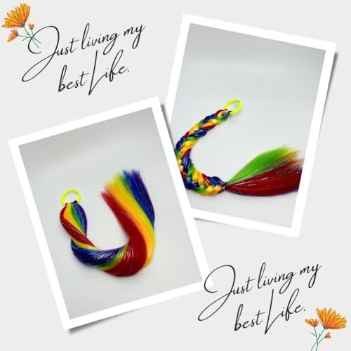 Rainbow Ponytail Extensions, Ponytail Hair Tinsel Extension with Tie Girls Accessories for Daily Party Festival Use Halloween Wacky Hair Braiding for Women Ponytail Hair Pieces 2pcs/lot - Image 3