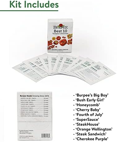 Burpee Best 10 Non-GMO Planting Tomato Seeds for Garden Gifts (1 Pack) - Image 3