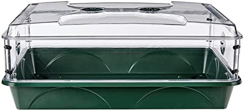 93774 Domed Propagator, 1 Height Extender, Green - Image 2