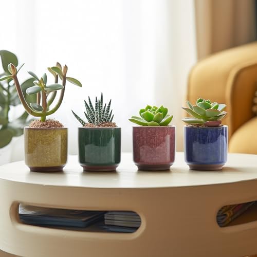T4U Mini Succulent Pots, Small Ceramic Planters, Retro Gift Set of 6 - Image 6