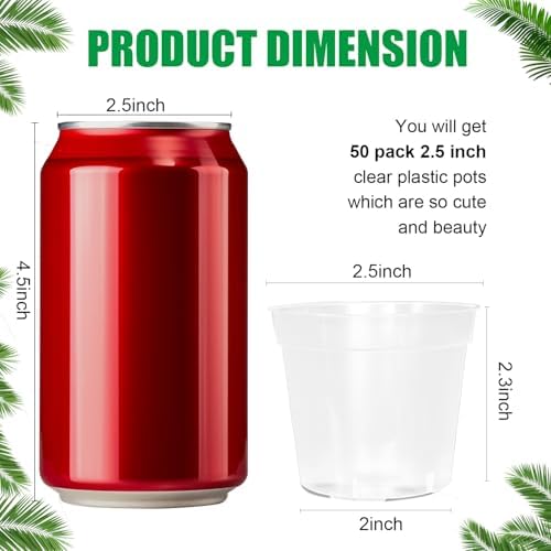 BTPLASTIK 50 Pack 2.5 Inch Clear Nursery Pots for Plants, Sturdy Plastic Plant Pot for Planting Vegetables Flowers Seedlings, Transparent Seed Starter Pots with Drainage Holes, garden, Gardening Gifts - Image 2
