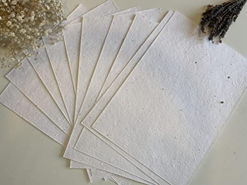 10 x A5 Plantable Seed Paper/Card - Print at Home Craft Paper with Wildflower Seed Mix… - Image 2