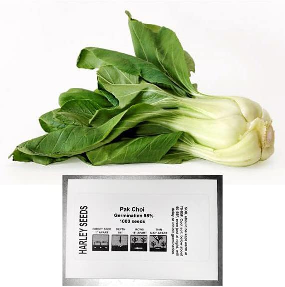 1000 Canton Pak Choi Bok Choy Chinese Cabbage Seeds Heirloom Non-GMO by Harley+Seeds