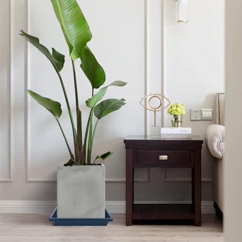 Square Plant Saucer 10 Inch 2 Pack, Plant Drip Trays and Flower Pot Saucers，Doubles Plant Water Catcher Tray, Plant Trays for Indoors No Holes, Plant Drainage Tray Saucers for Potted Plants - Image 5