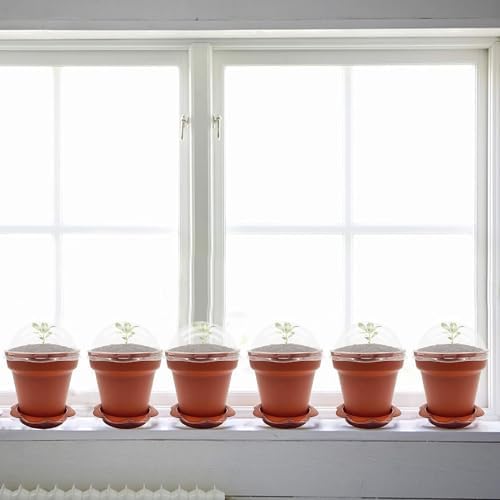 PURPLE STAR 1N 50 Packs Cupcake Plant Nursery Pots with Humidity Dome- Planting Containers Cups- Small Flower Pots with Trays & Lids for Indoor Outdoor Seedling Succulent Vegetable (Wine Red) - Image 4