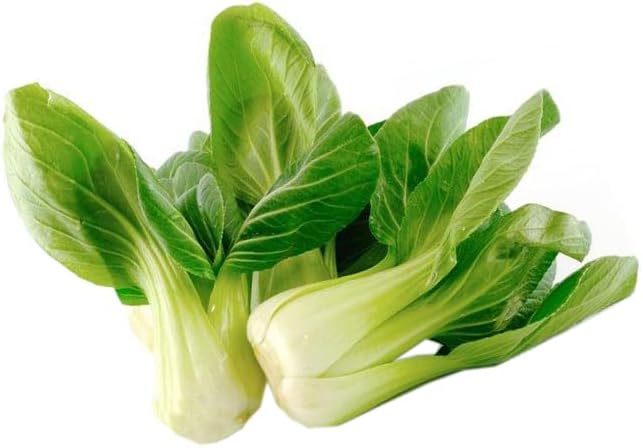 700ct+ HipGirl Baby Bok Choy Seeds for Sprouting,Cabbage Seeds for Planting,Microgreen Seed Planting for Home Vegetable Garden-Pak Choi Shanghai(上海青江菜) 2g, Sow in Fall/Spring. - Image 5