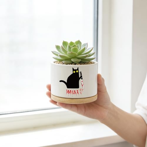 Funny Hello Black Cat Ceramic Plant Pot for Succulent, Cute Cat Cactus Flower Planter for Windowsill Indoor Decor, Home Office Decoration for Plant Lovers Friends Owner Lover (No Plants) (What) - Image 3