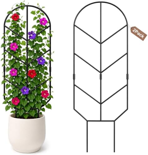 2 Pack Large Metal Trellis for Climbing Plants, 30'' Tall Garden Plant Support for Potted Plants Indoor, Modern Decorative Trellis for Jasmine, Wisteria and Lilac Vines (Black by Unknown