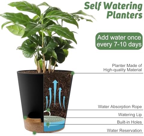 YNNICO 8-Inch Plant Pots, Self-Watering Planters with Drainage Holes & Saucers for Indoor and Outdoor Plants (2-Pack,Black) - Image 5