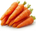 1000 Danvers 126 Carrot Seeds for Planting - Sweet Heavy-Soil Heirloom, Non-GMO, USA Grown by RDR Seeds by RDRSeeds