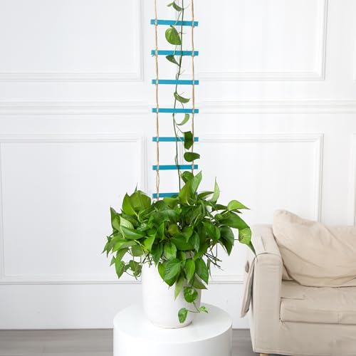 Blue Plant Ladder Indoor Plants Hanging Wooden Trellis for Vine - Image 4