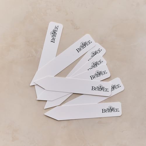 Burpee 'Martha Washington’s Kitchen Garden' Seed Collection – 8 Historic Heirloom Vegetables Grown at Mount Vernon with Plant Labels & Keepsake Recipe Card - Image 6
