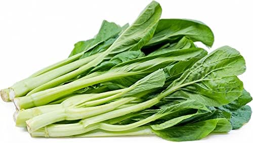 SE5 Natural Green 1 Bag 200 Seeds Cabbage Vegetables Chinese Delicious - Image 5