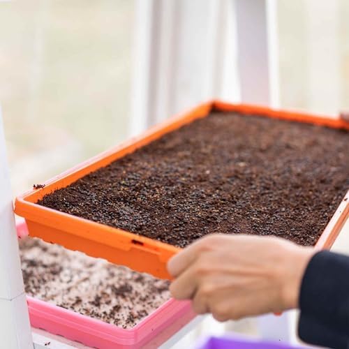 Bootstrap Farmer Extra Strength 1020 Trays with Holes, Pink 10 Pack - Image 3
