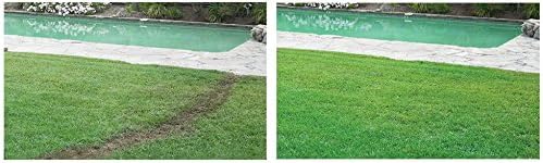 Hydro Mousse Bermuda Grass Seed - Large Refill Bag - Covers up to 1000 Square Feet - Image 4