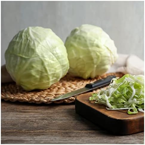 1 Lb Early Round Dutch Cabbage Seeds - Gold Vault - Image 2