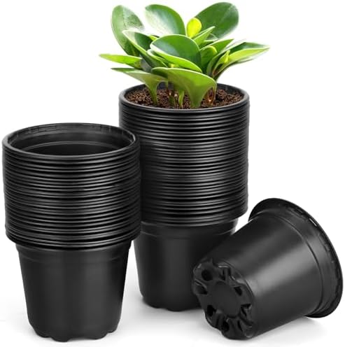 60 Pack 4 Inch Nursery Pots for Plants, Plastic Seeds Starter Pots with Drainage Holes, Small Plastic Plant Nursery Pots for Succulents Seedling Cutting Transplanting (60, 4 Inch) by DUNPUTE