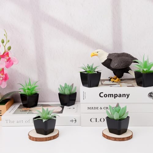 Woration 6pcs Small Faux Artificial Flocking Succulent Plants in Black Pots Fake Plastic Plants Topiaries for Shelf Table Windowsills Office Home Green Decoration - Image 7