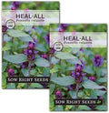 Sow Right Seeds - Heal-All Seed for Planting Self Heal Perennial Herb 2pk by SowRightSeeds