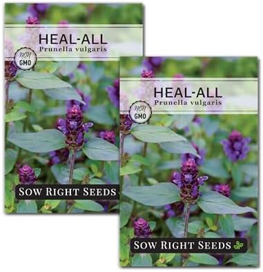 Sow Right Seeds - Heal-All Seed for Planting Self Heal Perennial Herb 2pk by SowRightSeeds