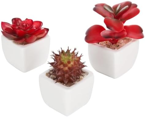 MyGift Assorted Artificial Red Succulent Plants, Mini Fake Desert Plants in White Square Pots, Set of 3 by MyGiftHome