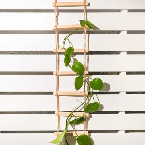Plant Ladder Indoor Plants Hanging Wooden Trellis Vine Support - Image 5