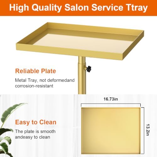 Salon Tray Cart Tattoo Tray Rolling Cart, Service Rolling Tray, Height Adjustable Styling Tray, Storage Tray Trolley for Beauty Salon Clinic Spa (Champagne Gold) - Image 2