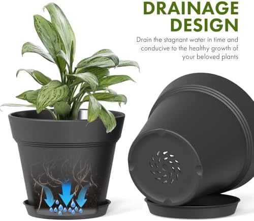 WSMKSZ 4 Inch Plastic Plant Pots with Drainage Holes and Trays – 8 Pack Small Nursery Pots for Indoor & Outdoor House Plants and Flowers, Seedling Starter Planters, Matte Black - Image 4