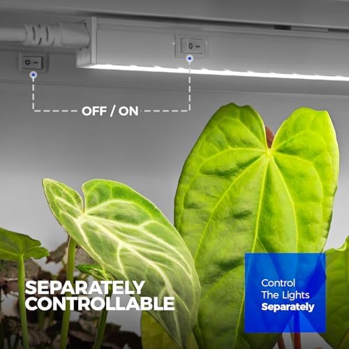 Barrina T5 Grow Lights for Indoor Plants, 5000K Full Spectrum, 1FT, 4 Packs - Image 5