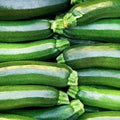Park Seed Zucchini Squash Seeds – Grow Your Own Garden Vegetables, Dark Green Heirloom, Compact Bush Plant with Nutrient-Dense Fruits, Mild Flavor and High Yield, Pack of 20 by ParkSeed
