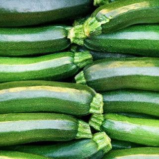 Park Seed Zucchini Squash Seeds – Grow Your Own Garden Vegetables, Dark Green Heirloom, Compact Bush Plant with Nutrient-Dense Fruits, Mild Flavor and High Yield, Pack of 20 by ParkSeed