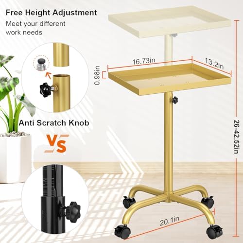 Salon Rolling Tray Hair Stylist Tray Cart, Tattoo Tray Dental Tray Adjustable Height, Metal Service Tray Trolley, Medical Storage Tray Cart Rolling Trolley (Champagne Gold) - Image 4