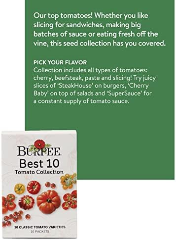 Burpee Best 10 Non-GMO Planting Tomato Seeds for Garden Gifts (1 Pack) - Image 2