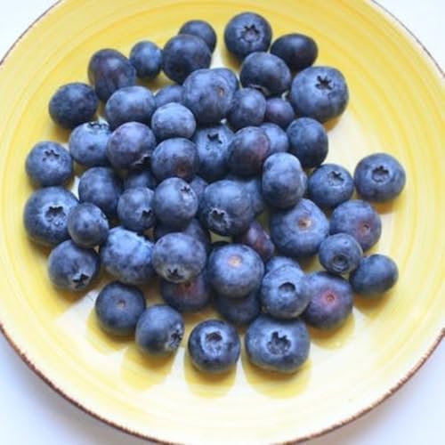 Pink Lemonade Blueberry (Emerald) - Image 2