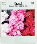 Set of 50 Flower Seed Packets! Flower Seeds in Bulk (50, Stock Dwarf Ten Weeks Mix) by Unknown