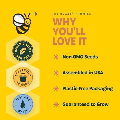 Buzzy Seeds Sunflower Grow Kit, 20-Pack Bulk Terracotta Pots, Indoor - Image 3