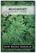 Sow Right Seeds - Mugwort Seed for Planting Perennial Medicinal Herb by SowRightSeeds