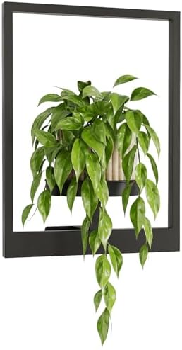 Bamworld Wall Plant Holder Plant Stand Indoor Wall Planters Black by Bamworld