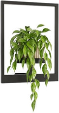 Bamworld Wall Plant Holder Plant Stand Indoor Wall Planters Black by Bamworld