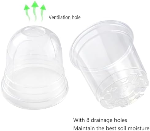 12PCS 3.8Inch Clear Seedling Pots with Humidity Domes and Drainage Holes - Image 2