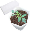 Belit Large Non-Woven Plant Nursery Bags, 25 Pcs Grow Bags Seedling Pots Container for Tree,Vegetable, Flower, Plant Grow (13.2"x15") by Belit