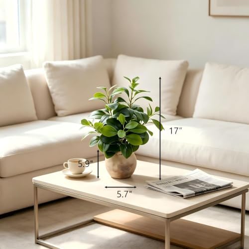 AlphaAcc Fake Faux Potted Plant Ficus Ceramic Pot Rustic Home Decor - Image 2