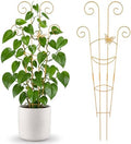 2 Pcs 30'' Monstera Plant Trellis for Pots, Metal Garden Trellis for Outdoor Plant Climbers, Expandable Houseplant Support with Butterfly Design for Monstera Ivy Hoya Vine, Gold by Unknown
